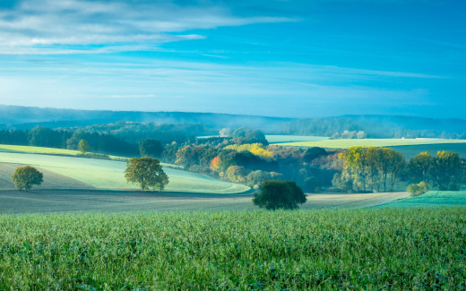 1098298 (a): :2560x1600